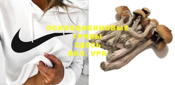 бошки Алзамай
