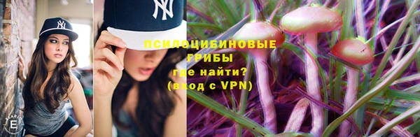 ПСИЛОЦИБИНОВЫЕ ГРИБЫ Абаза