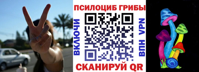 Галлюциногенные грибы Psilocybe Керчь