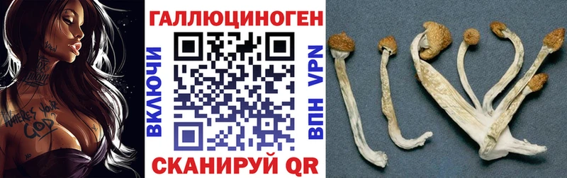 Псилоцибиновые грибы Psilocybine cubensis  Керчь 
